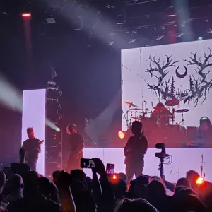 concert photo