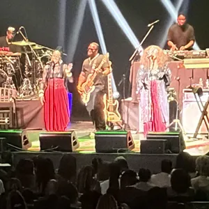concert photo