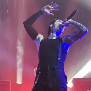 concert photo