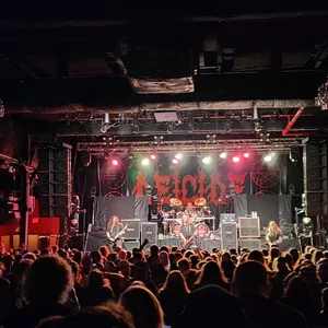 concert photo