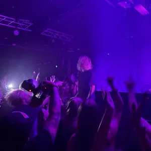 concert photo