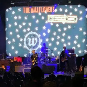 concert photo