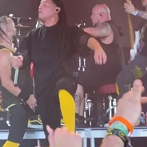 concert photo