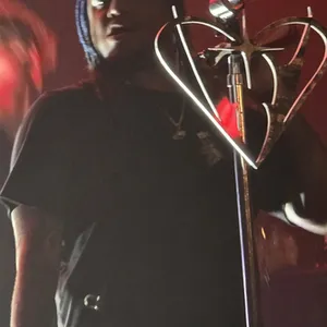 concert photo