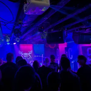 concert photo