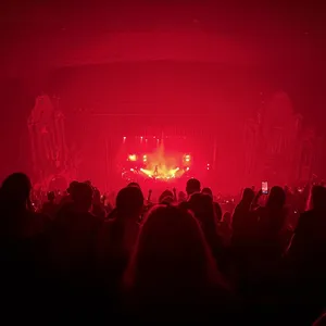 concert photo