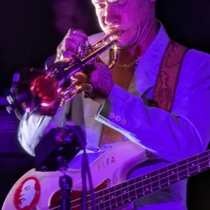 concert photo