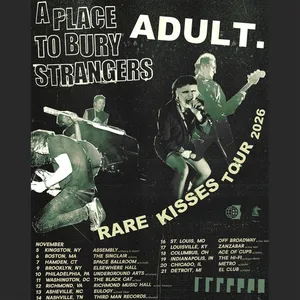 A Place to Bury Strangers Washington Tickets, Black Cat Nov 11