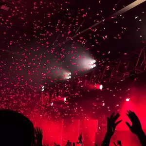 concert photo