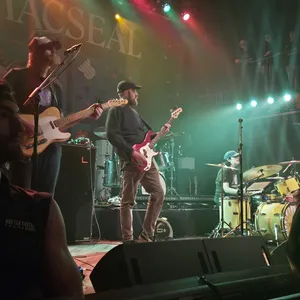 concert photo