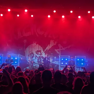 concert photo