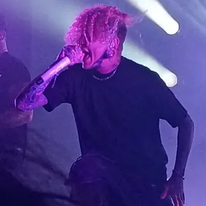 concert photo