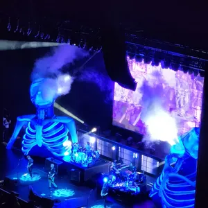 concert photo