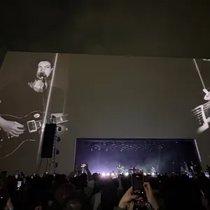 concert photo
