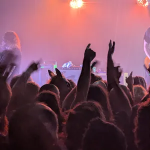 concert photo