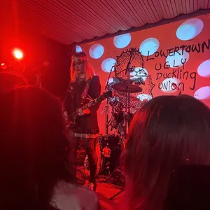 concert photo