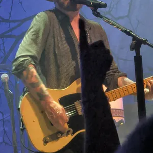 concert photo