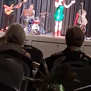 concert photo