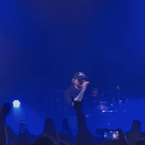 concert photo
