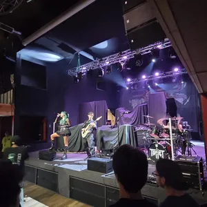 concert photo