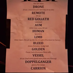 concert photo
