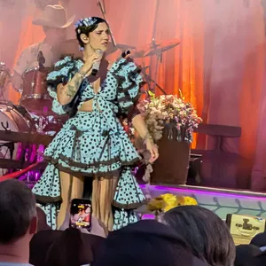 concert photo