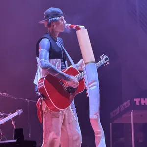 concert photo