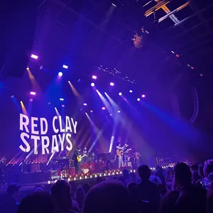 concert photo