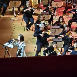 concert photo