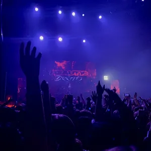 concert photo