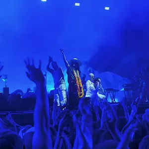 concert photo