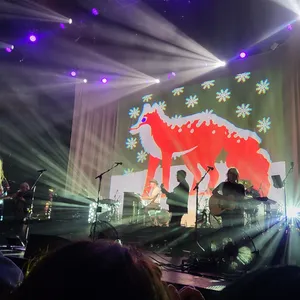 concert photo