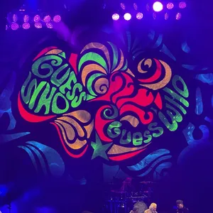 concert photo