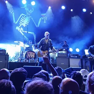 concert photo