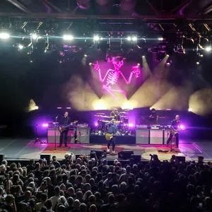 concert photo