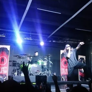 concert photo