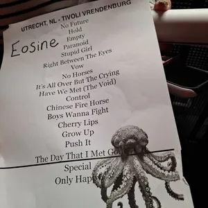 concert photo