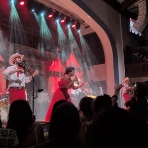 concert photo