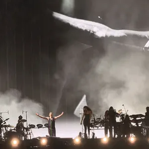 concert photo