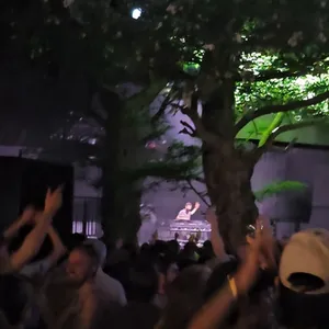 concert photo