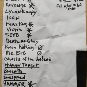 concert photo