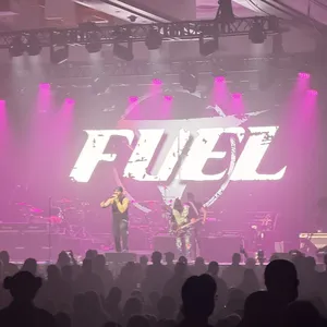 concert photo