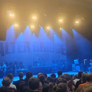 concert photo
