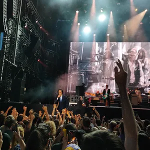 concert photo