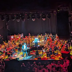 concert photo