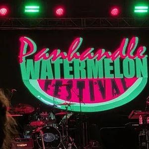 concert photo