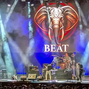 concert photo