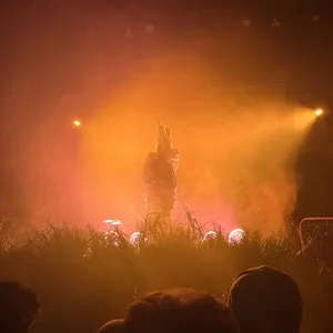 concert photo