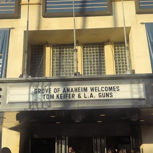 concert photo