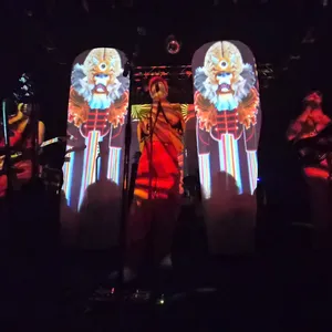 concert photo